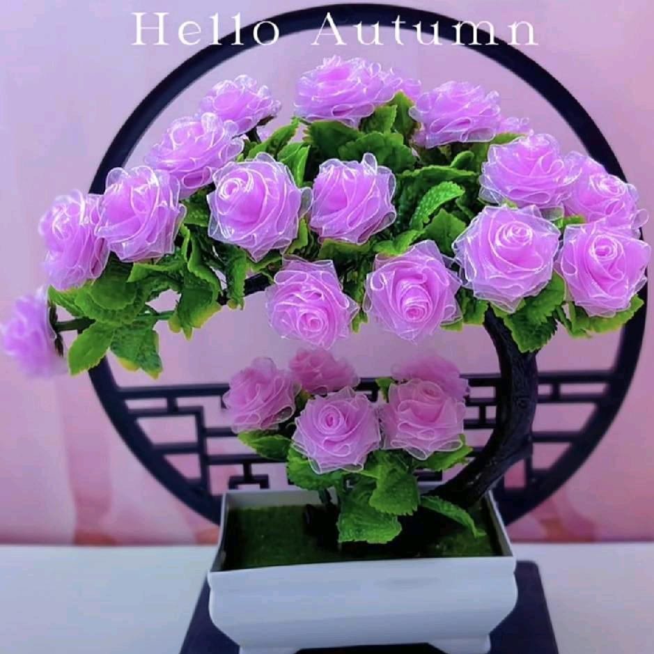 🌹🌹