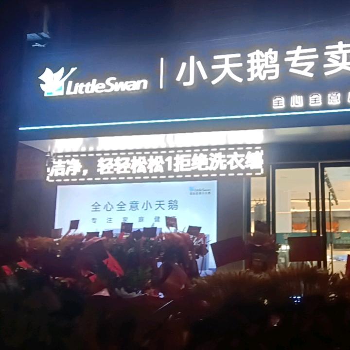 全心全意小天鹅