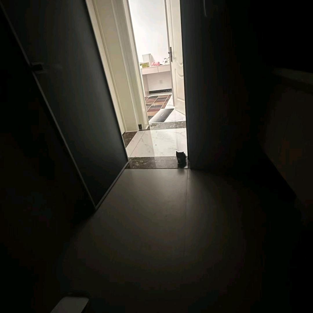 西红柿炒鸡蛋