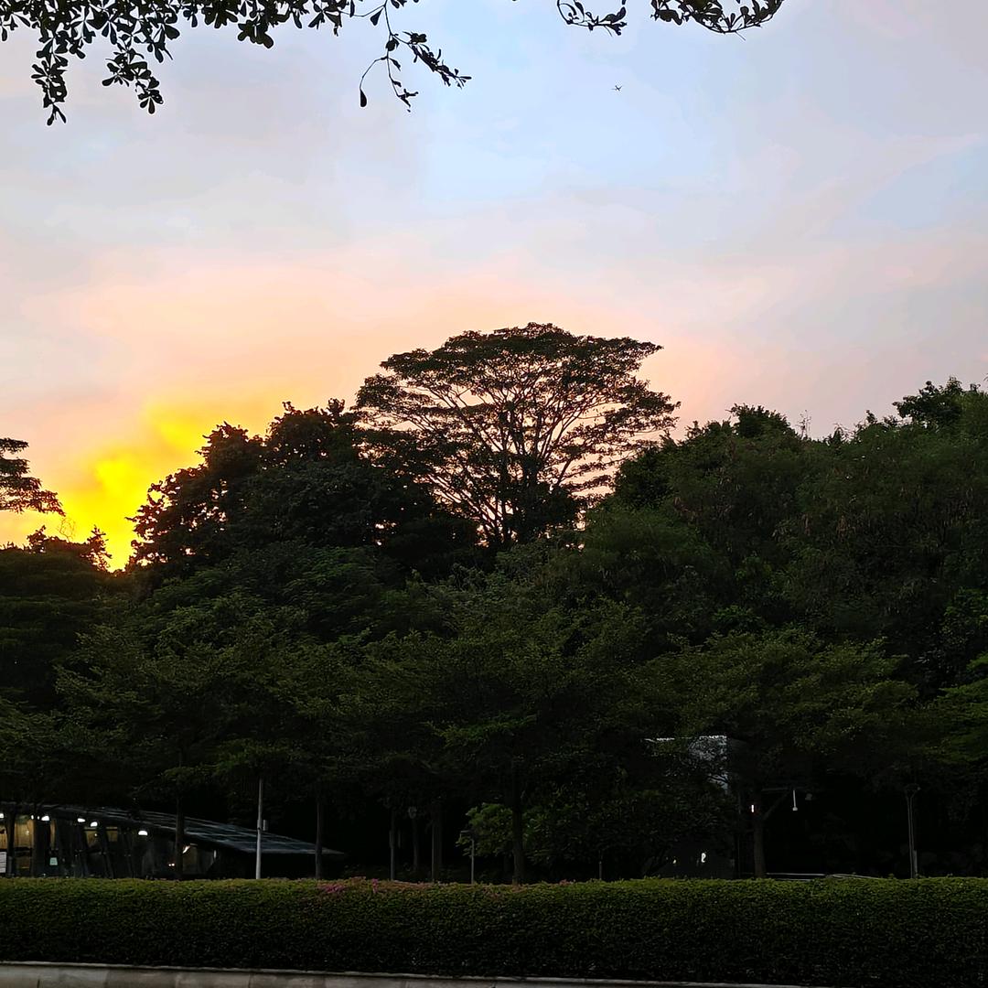 这是谁的小号？