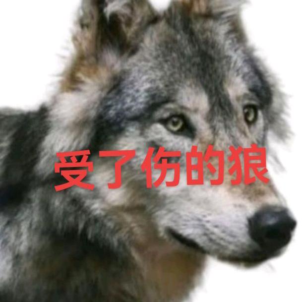魅力女人街