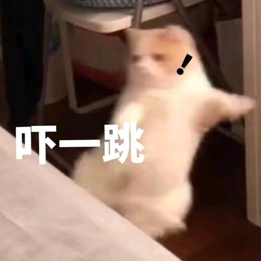 小浪丶