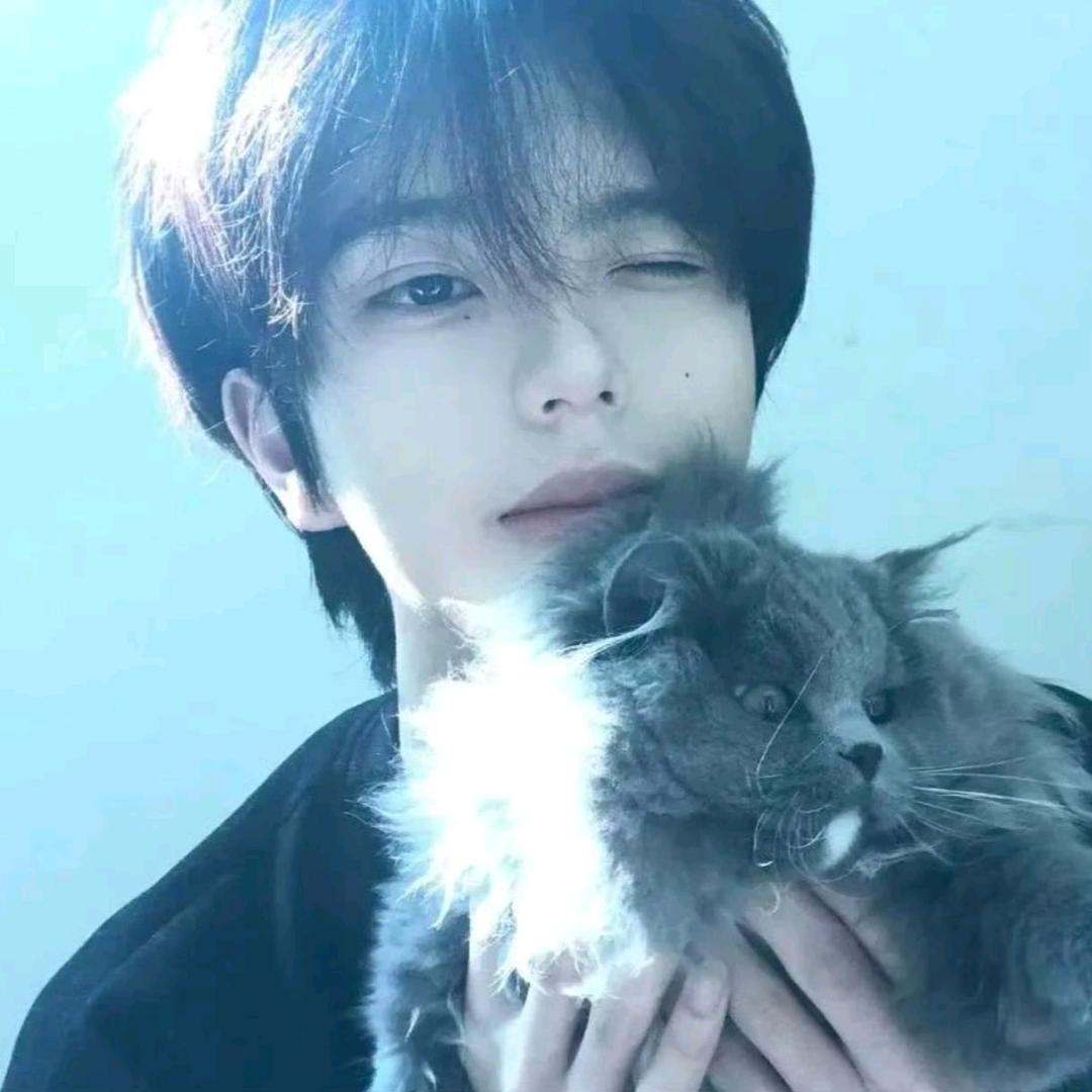 满山猴子我腚最红