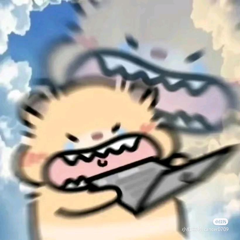 疯狂的星期天