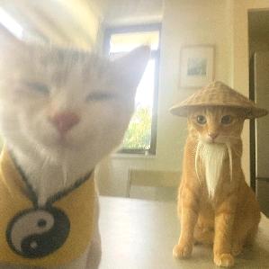 黄帝外经