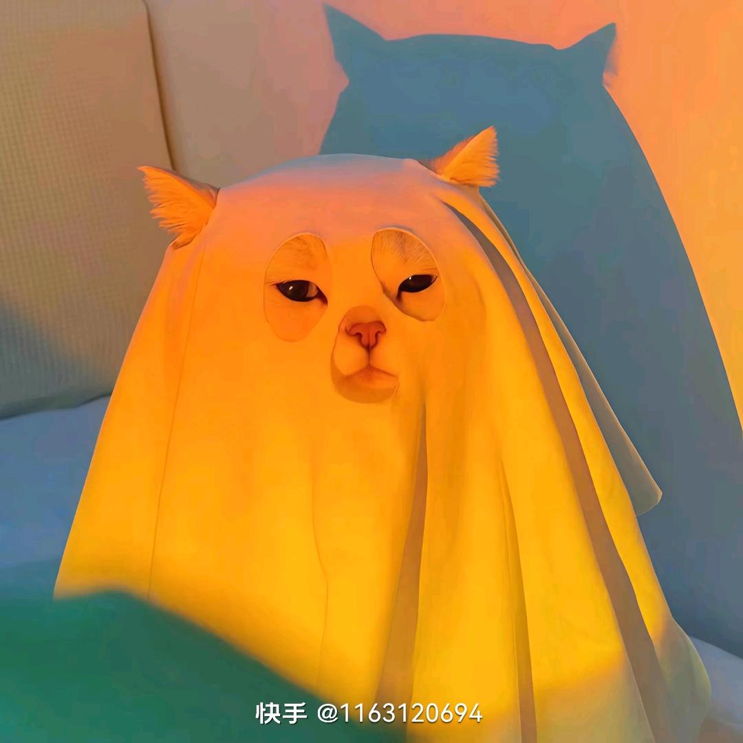佳♛