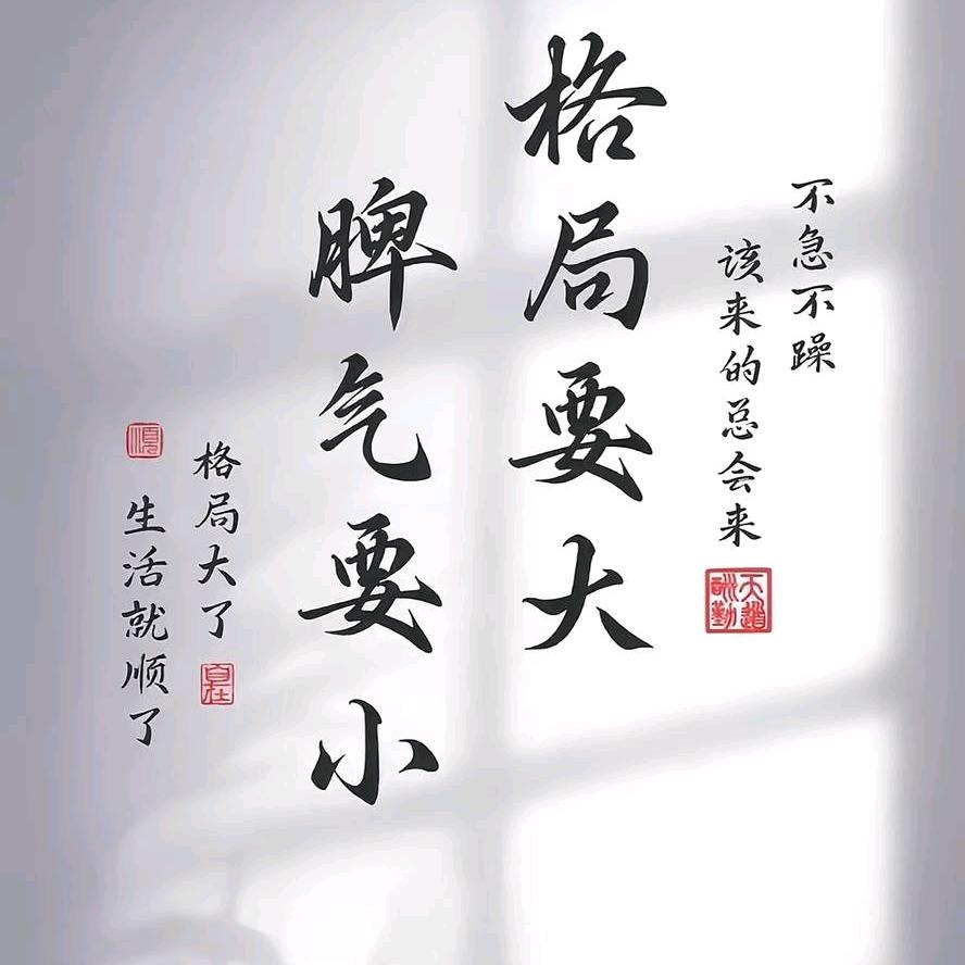 放线老马生活号