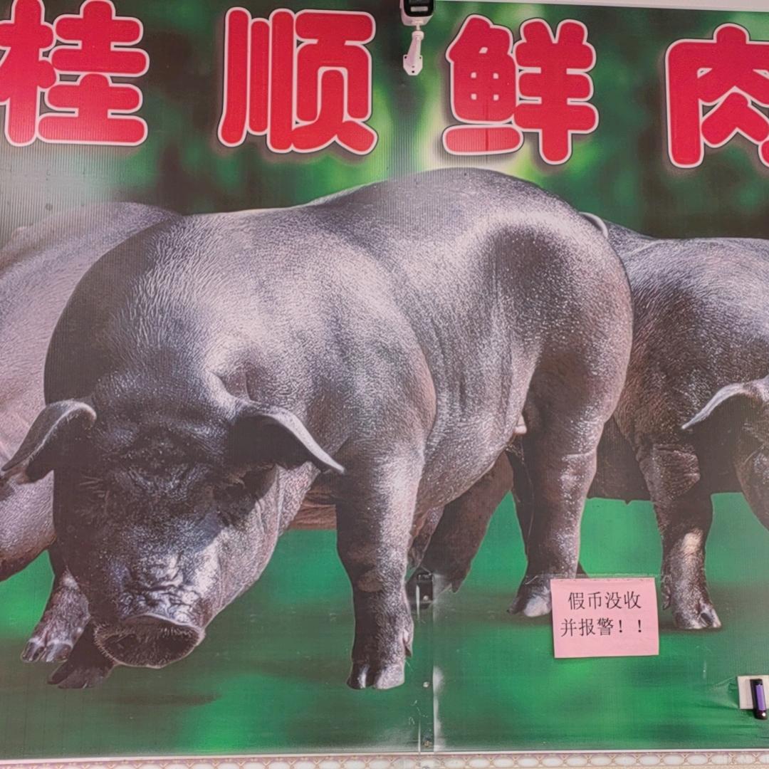 广西桂顺生鲜食品有限公司