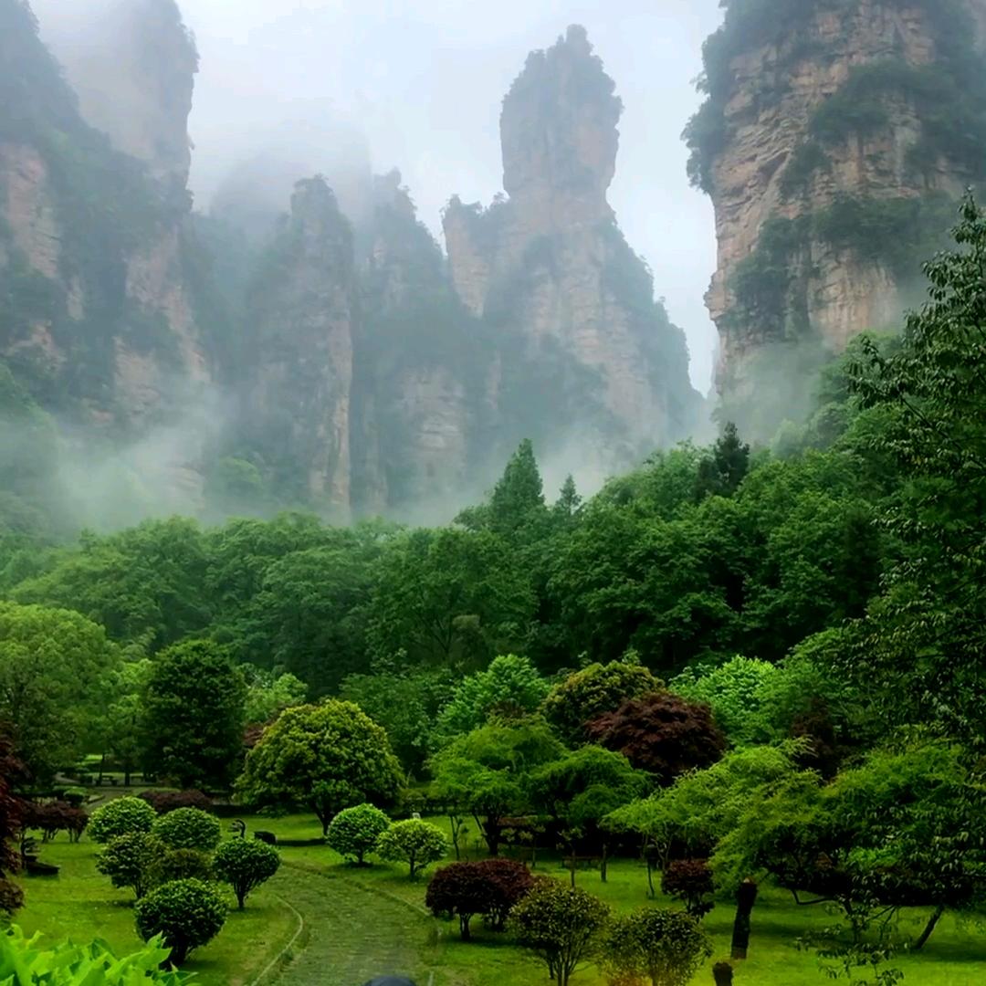 益阳市赫山区康帅门业经营部
