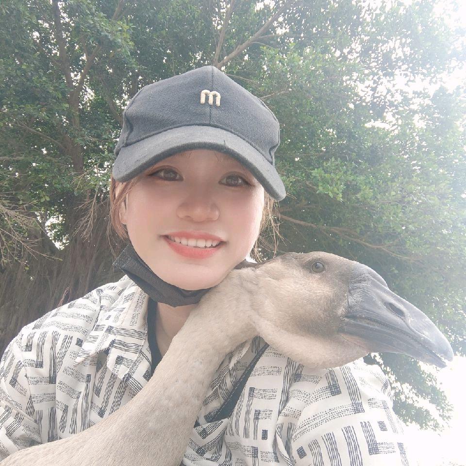 三亚养鹅姑娘