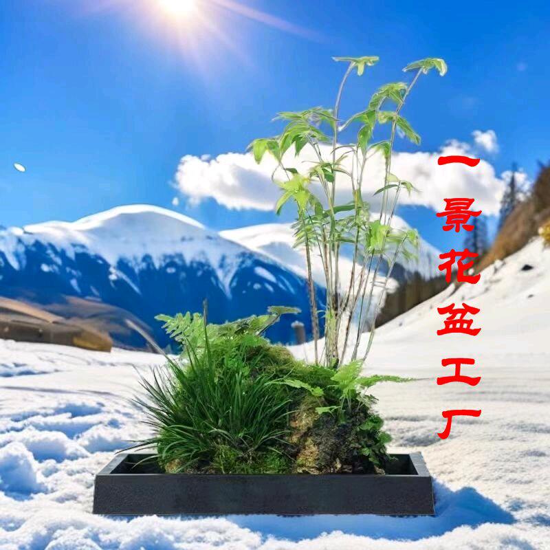 一景花盆工厂
