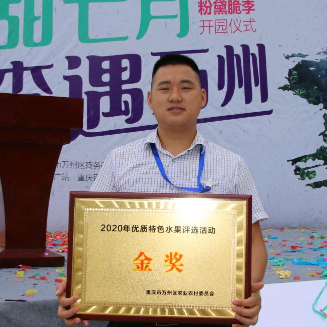 李哥优选水果(招助理)