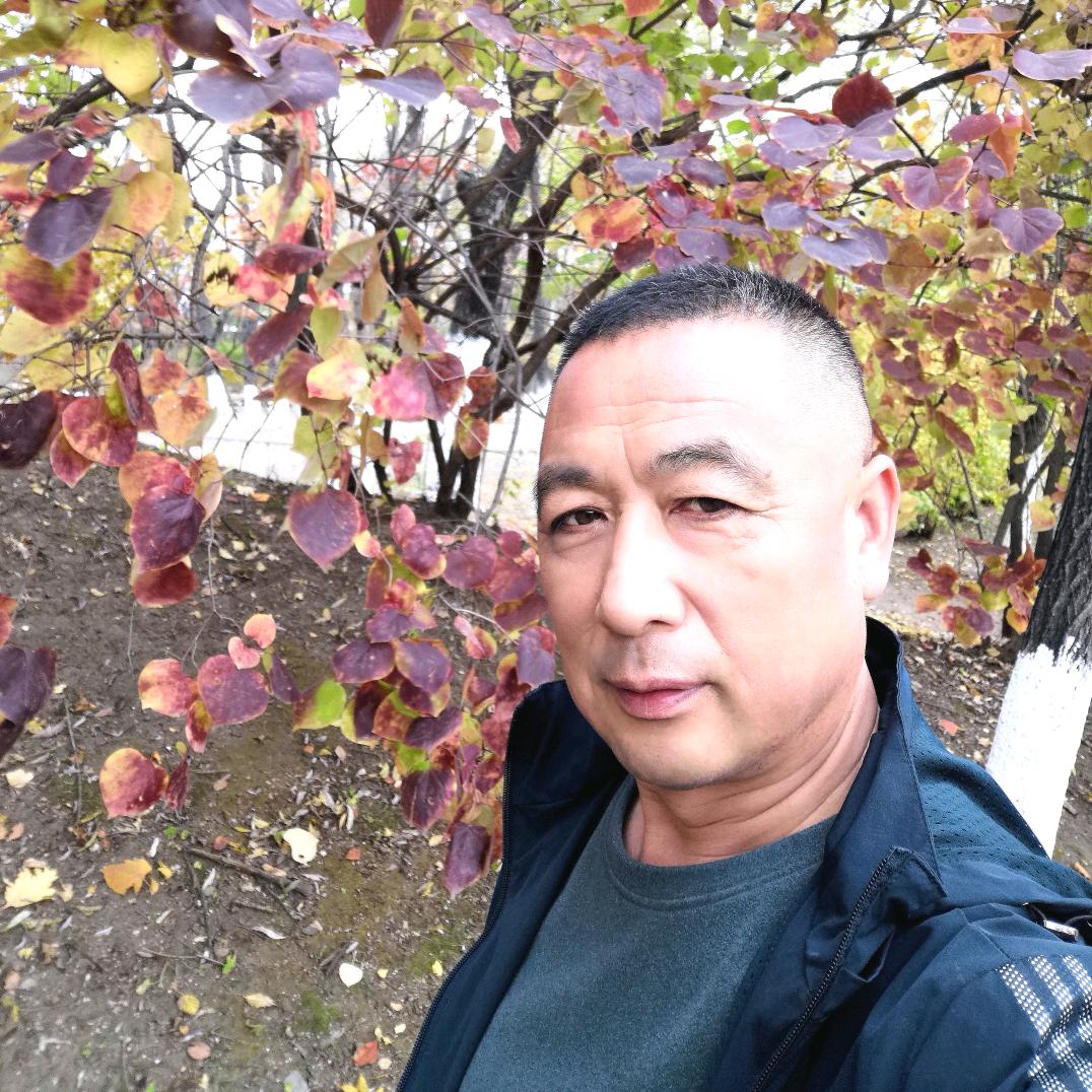 大鹏
