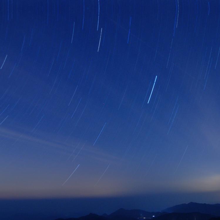 马春花
