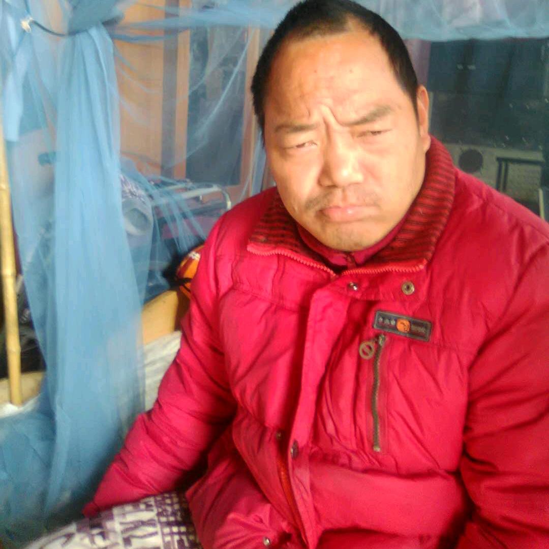 晓草