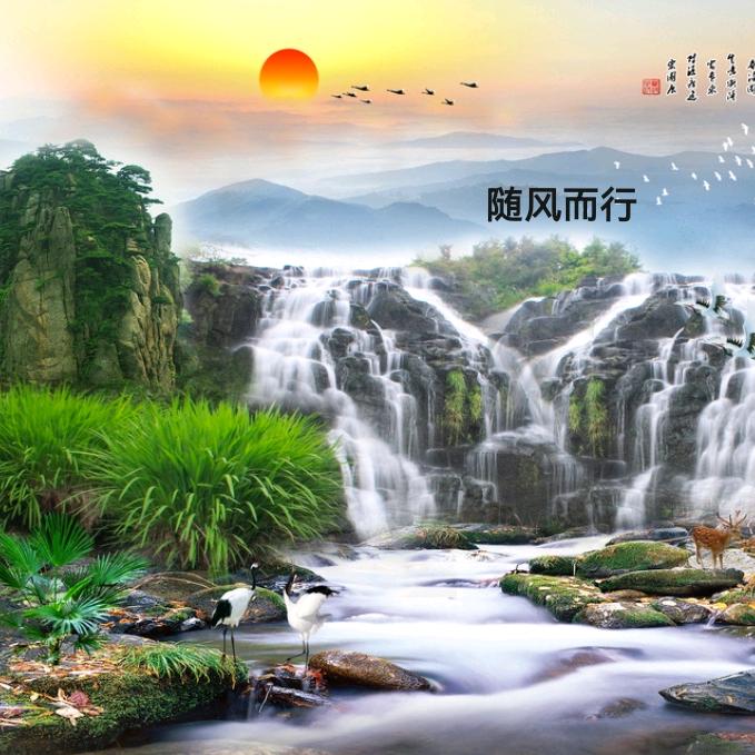 随风🌴而行