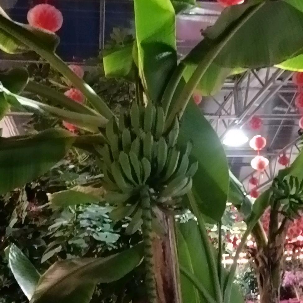 一心❤️‍🩹只为一人👮