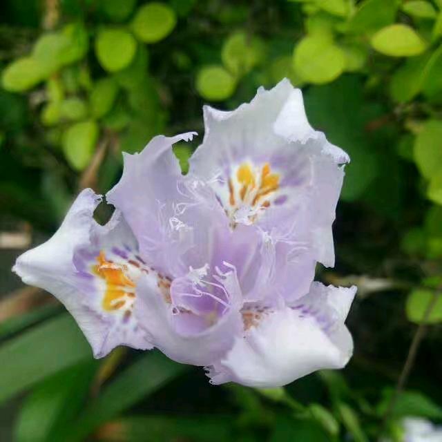 MG__唯翰陌忻💕