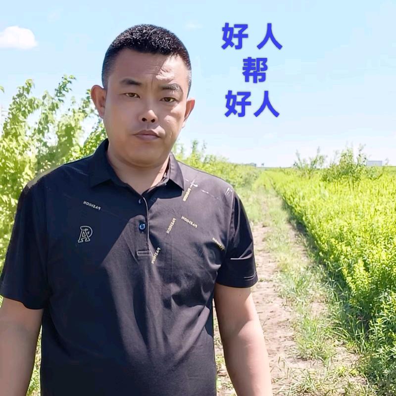 国印的故事