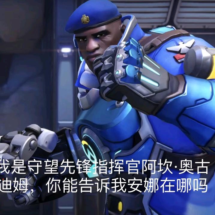 百媚黑猫