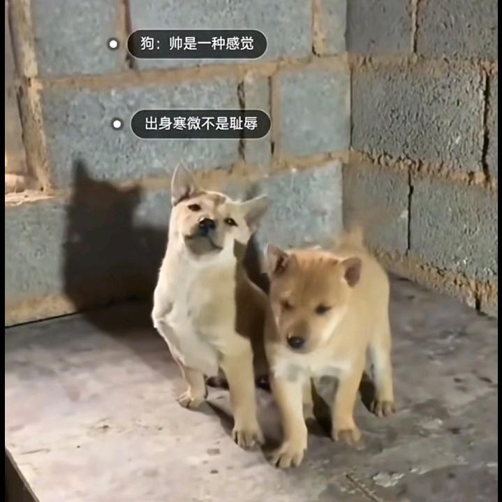祖国的小明