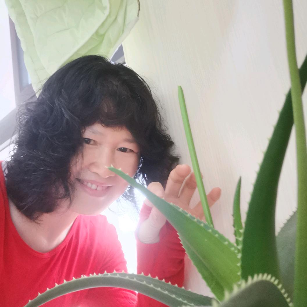 圆梦手作