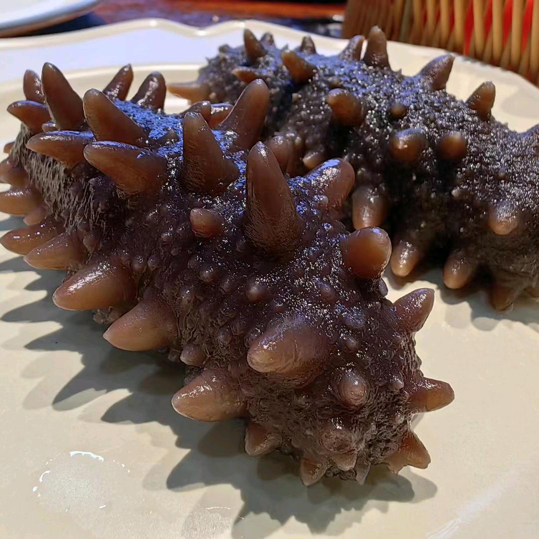 品质海参