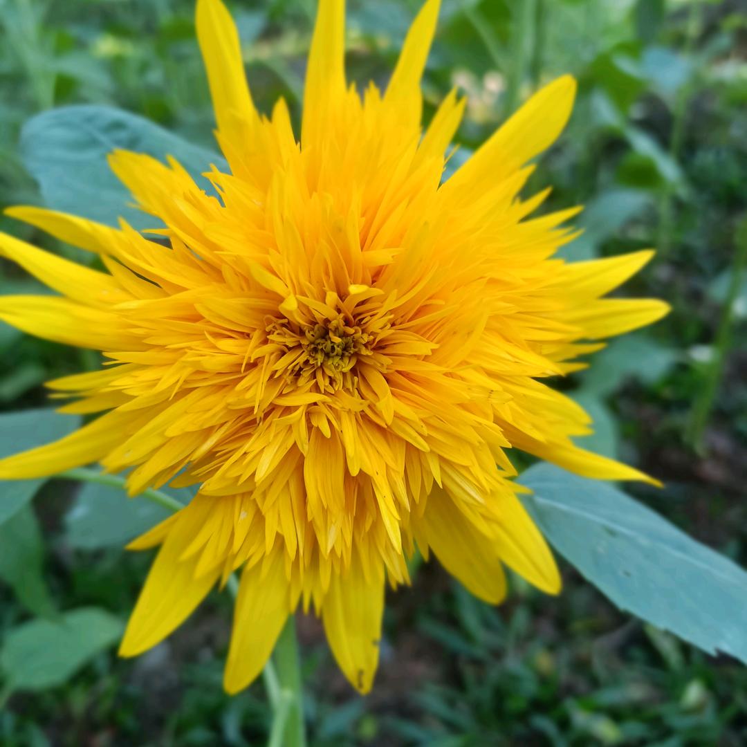 (ღ岁月♡‿♡静好ღ)