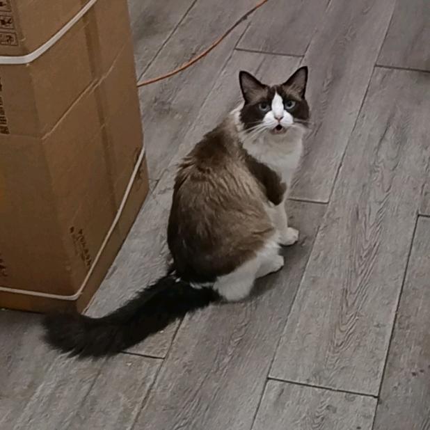 老板，感谢支持呀！