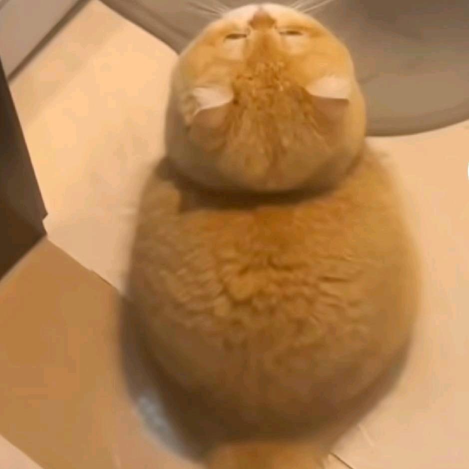 洞天福地