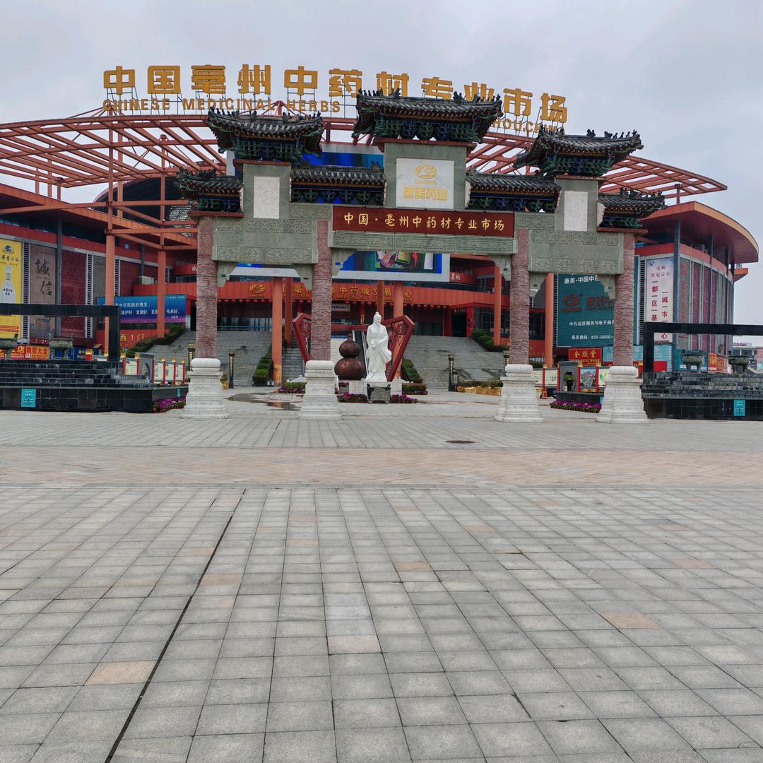 药都妍妍选本草