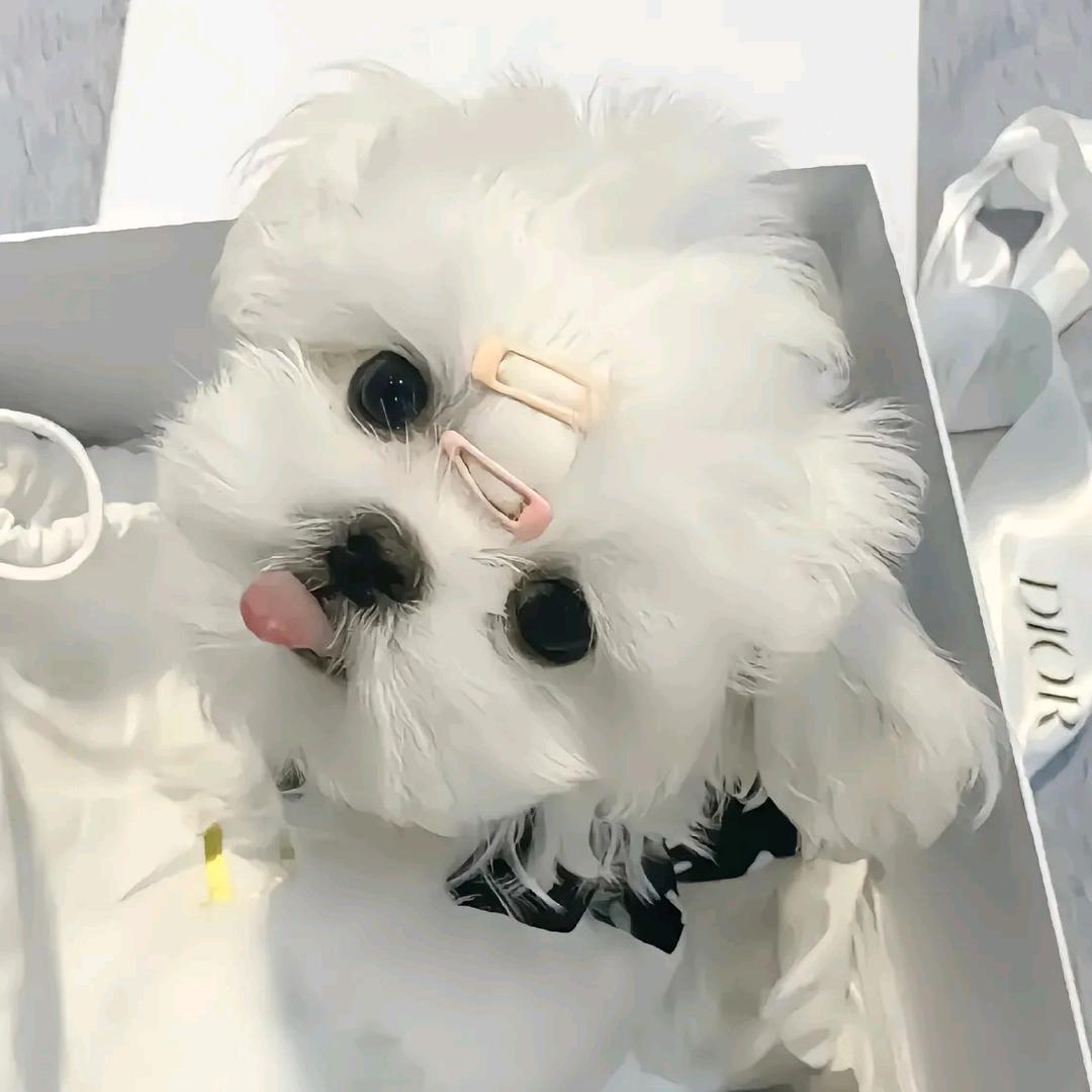 温柔可乐