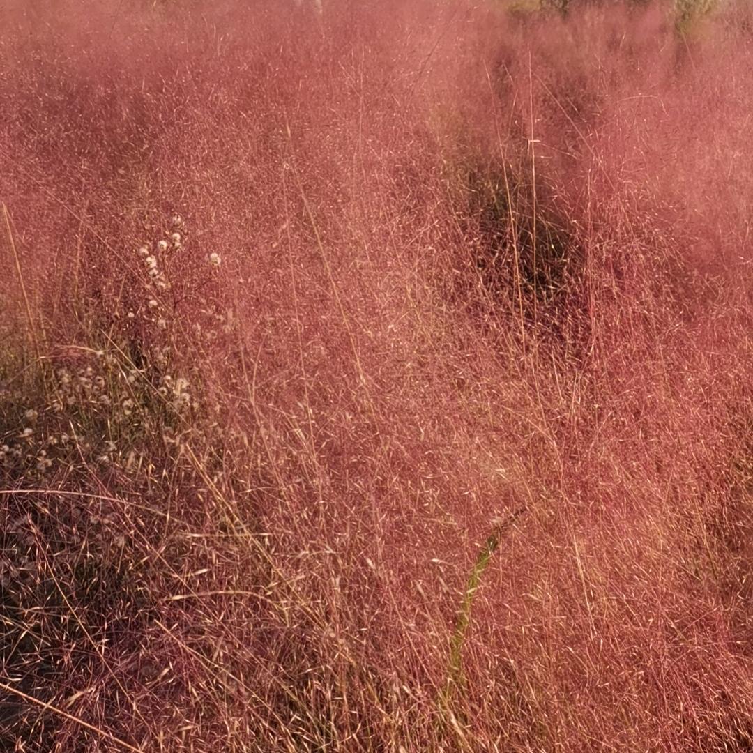 坐在月球观世界