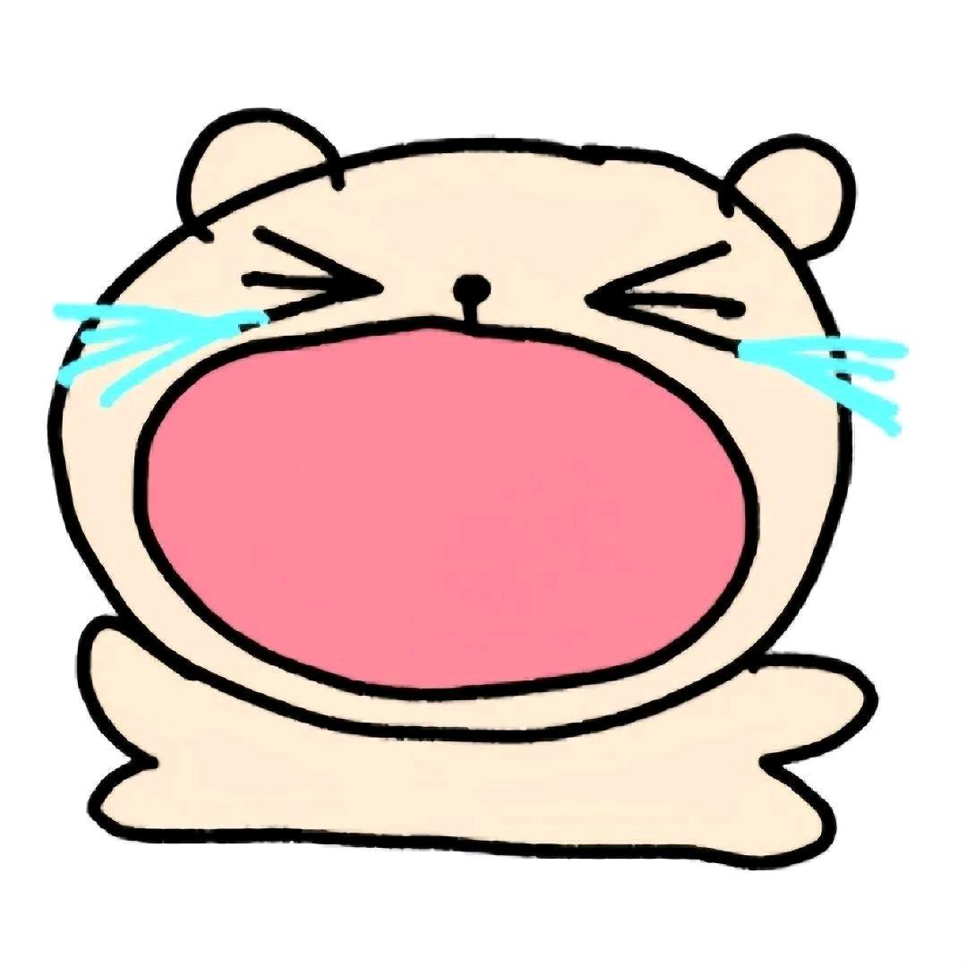 Cat老师