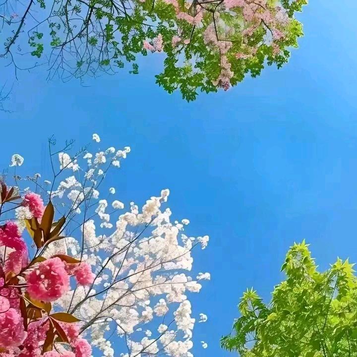 拾贰