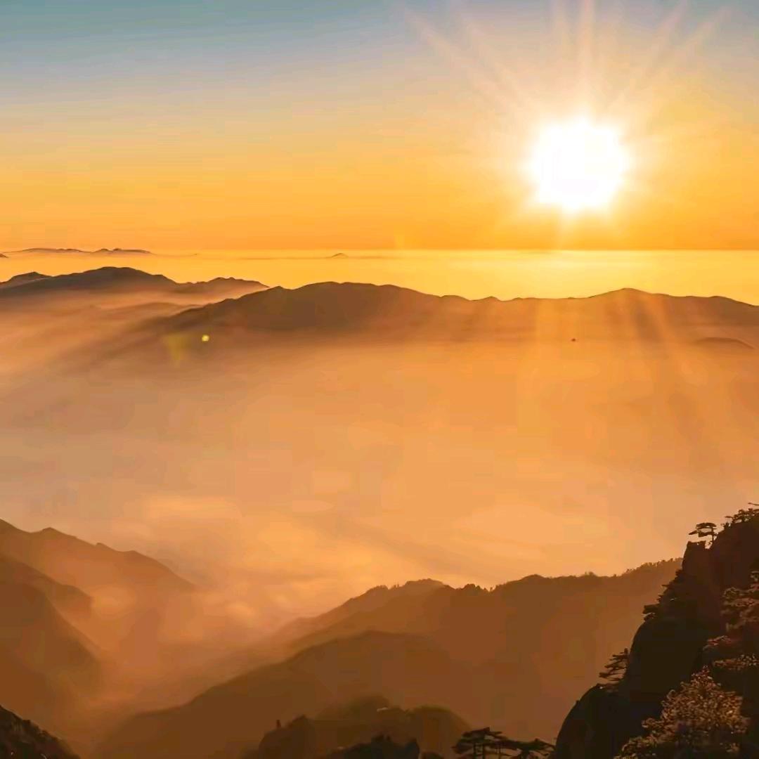 常聚德☀️☀️☀️☀️🌻🌻🌻🌻