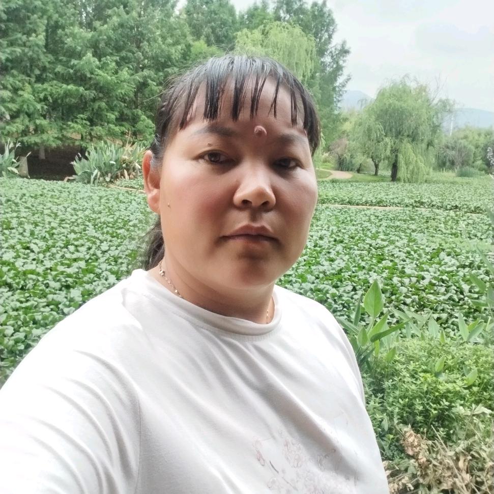 四季如春