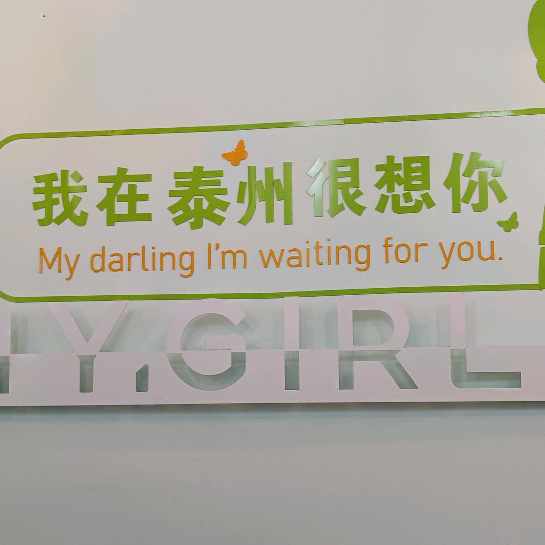 还记得小布丁吗