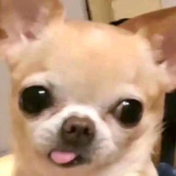 松江河