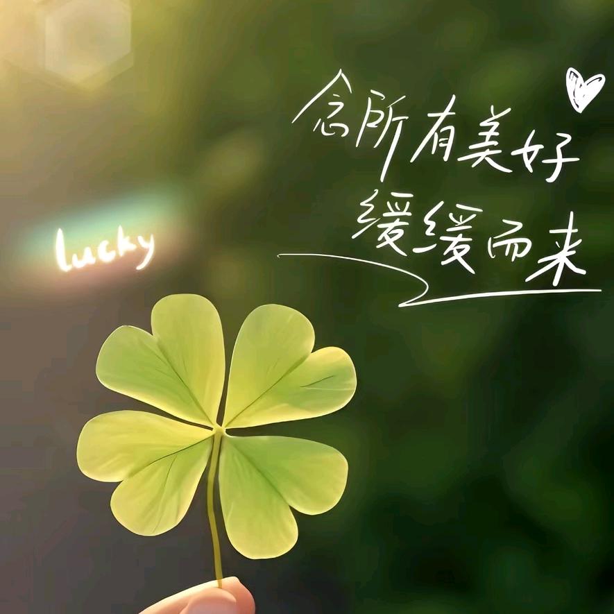 嘘~别闹
