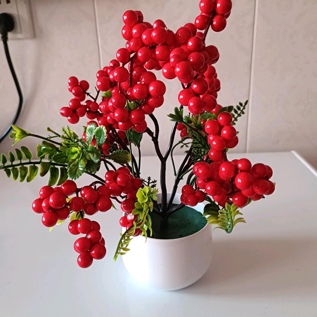 幸福来敲门《🌹🌹》