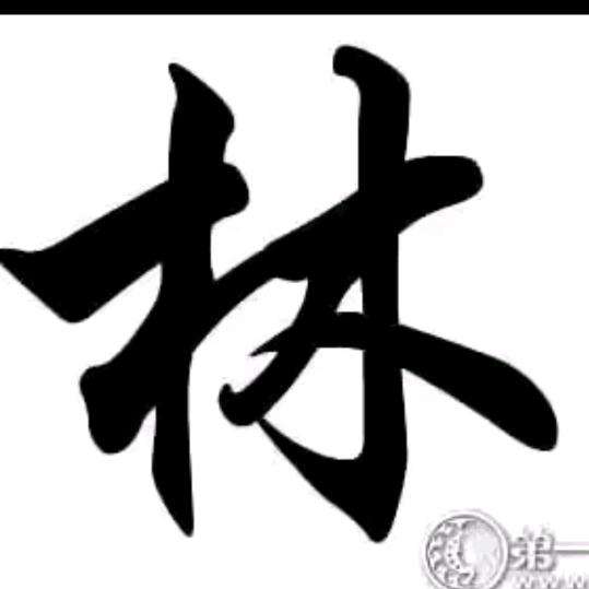 亢林林