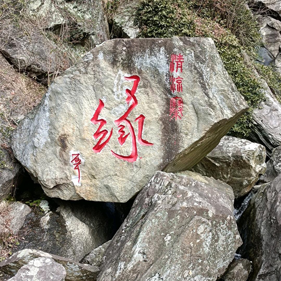 孤木不成森