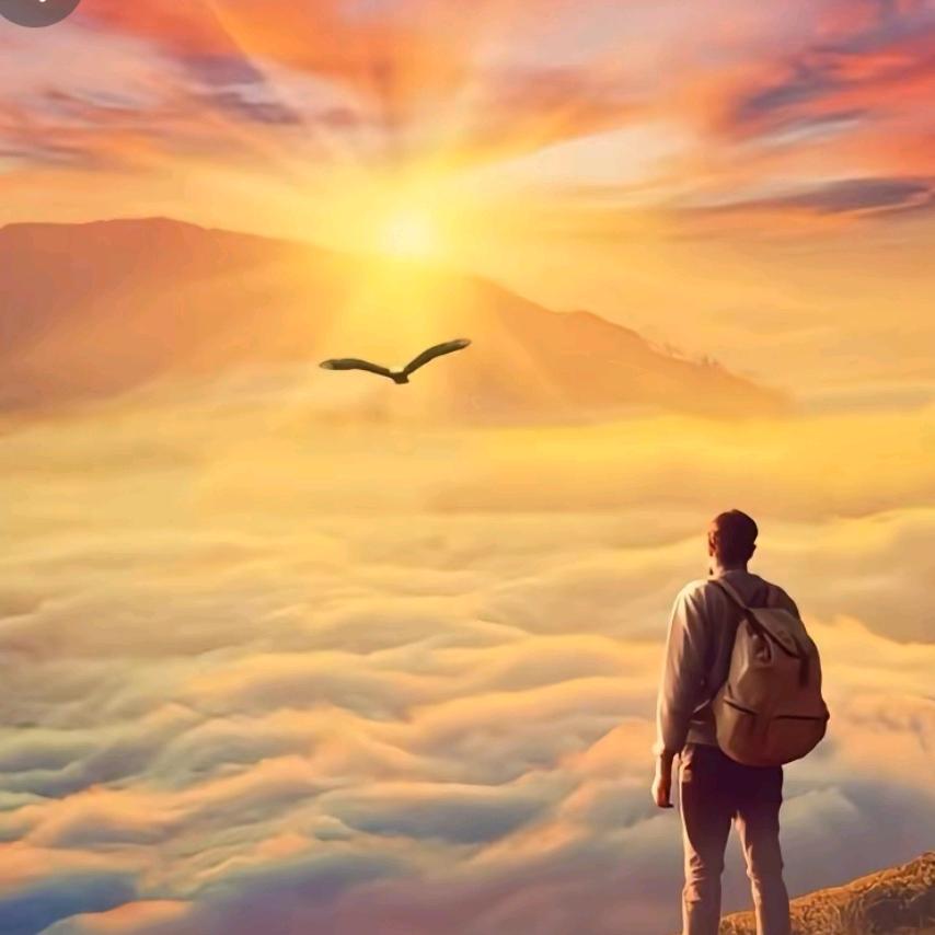 安于一宇         向阳而生