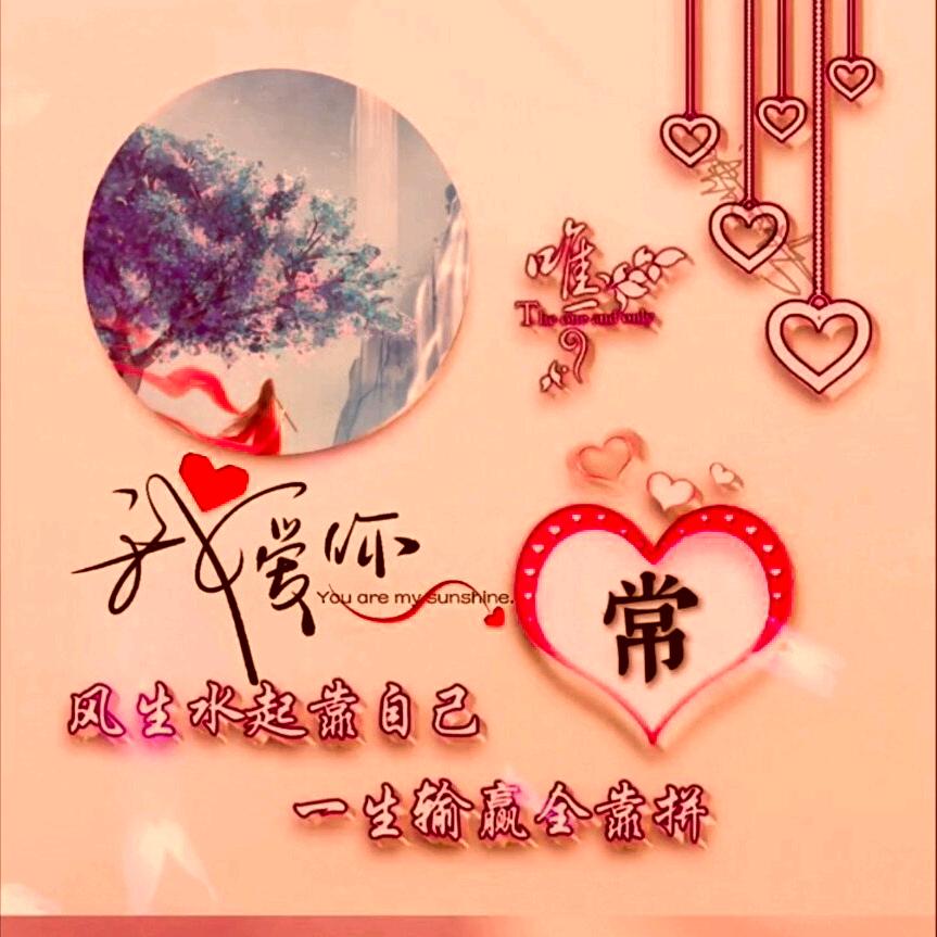 常伴秦心💞࿐自由选好物