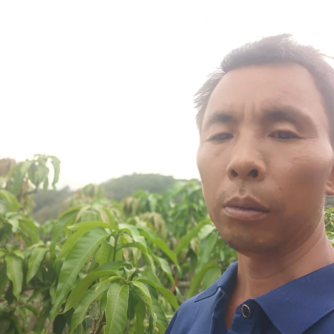 有缘郑轩