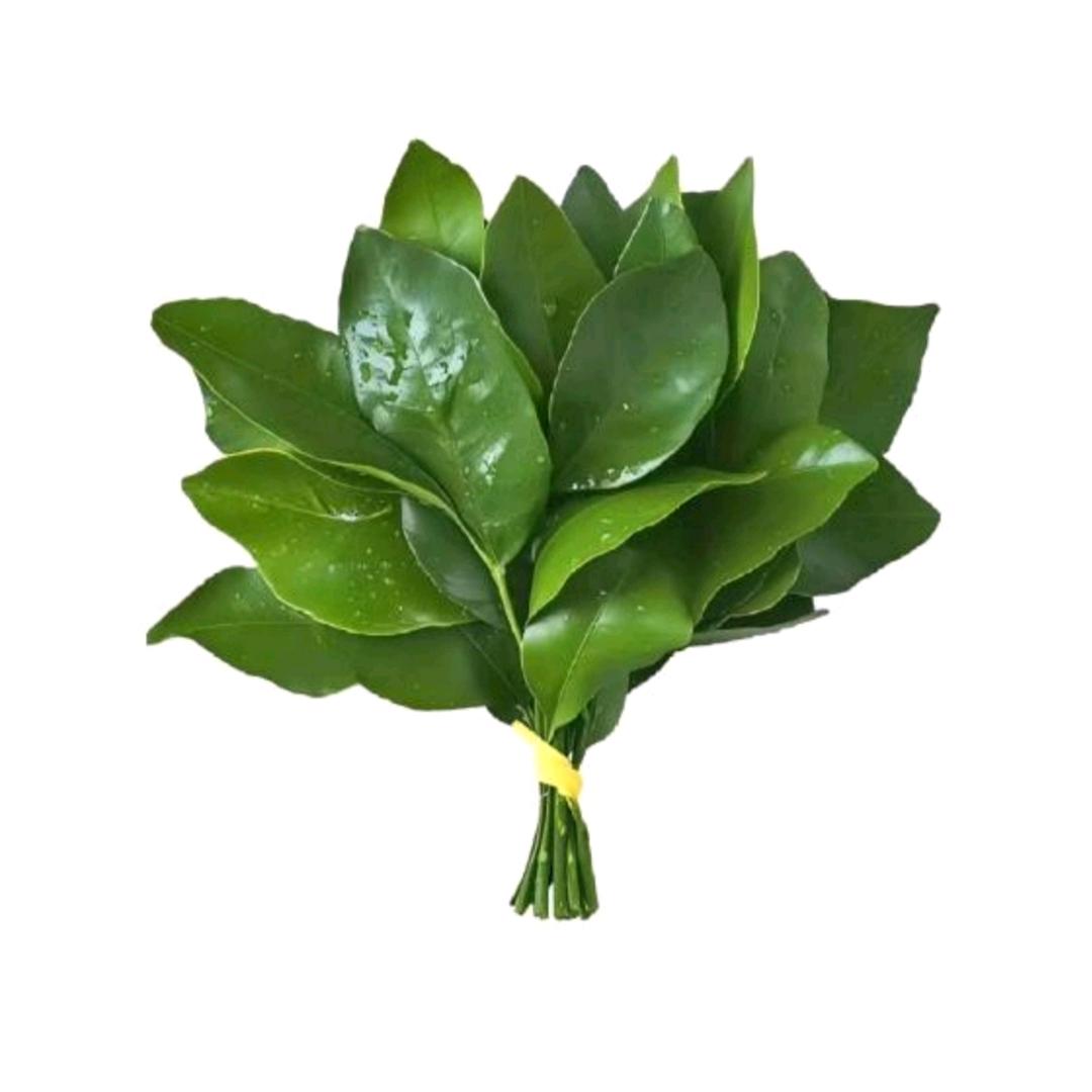 自由的皮蛋