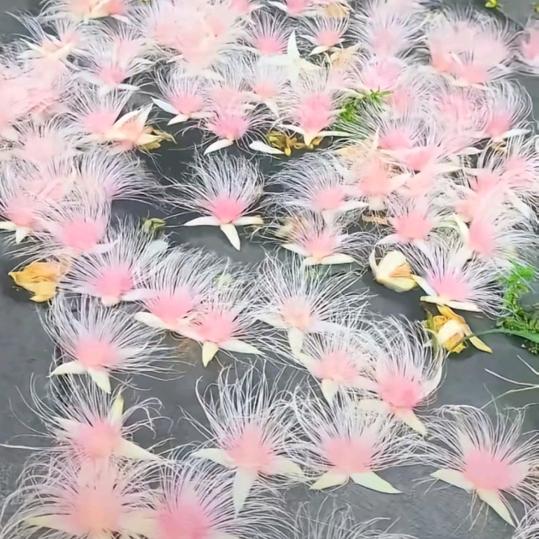 奋斗的小娘们