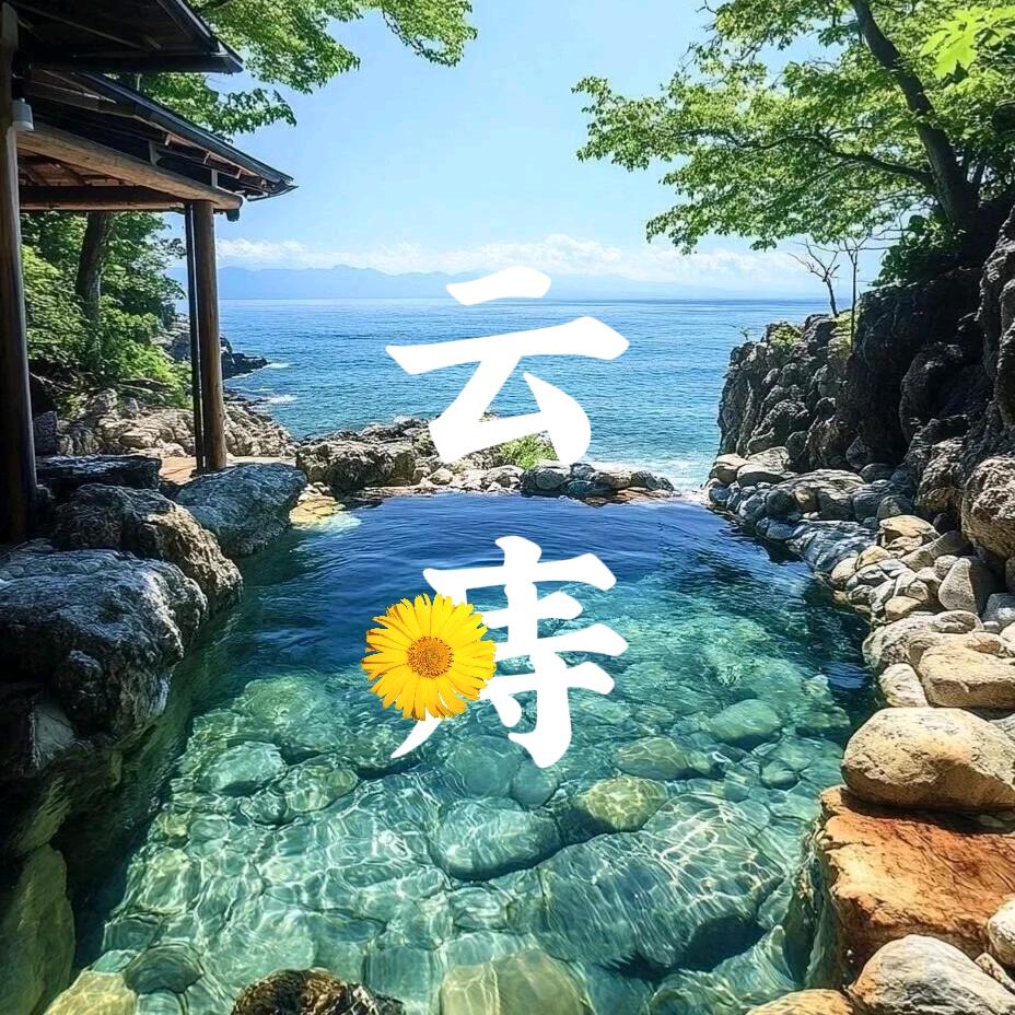 护🌼优品