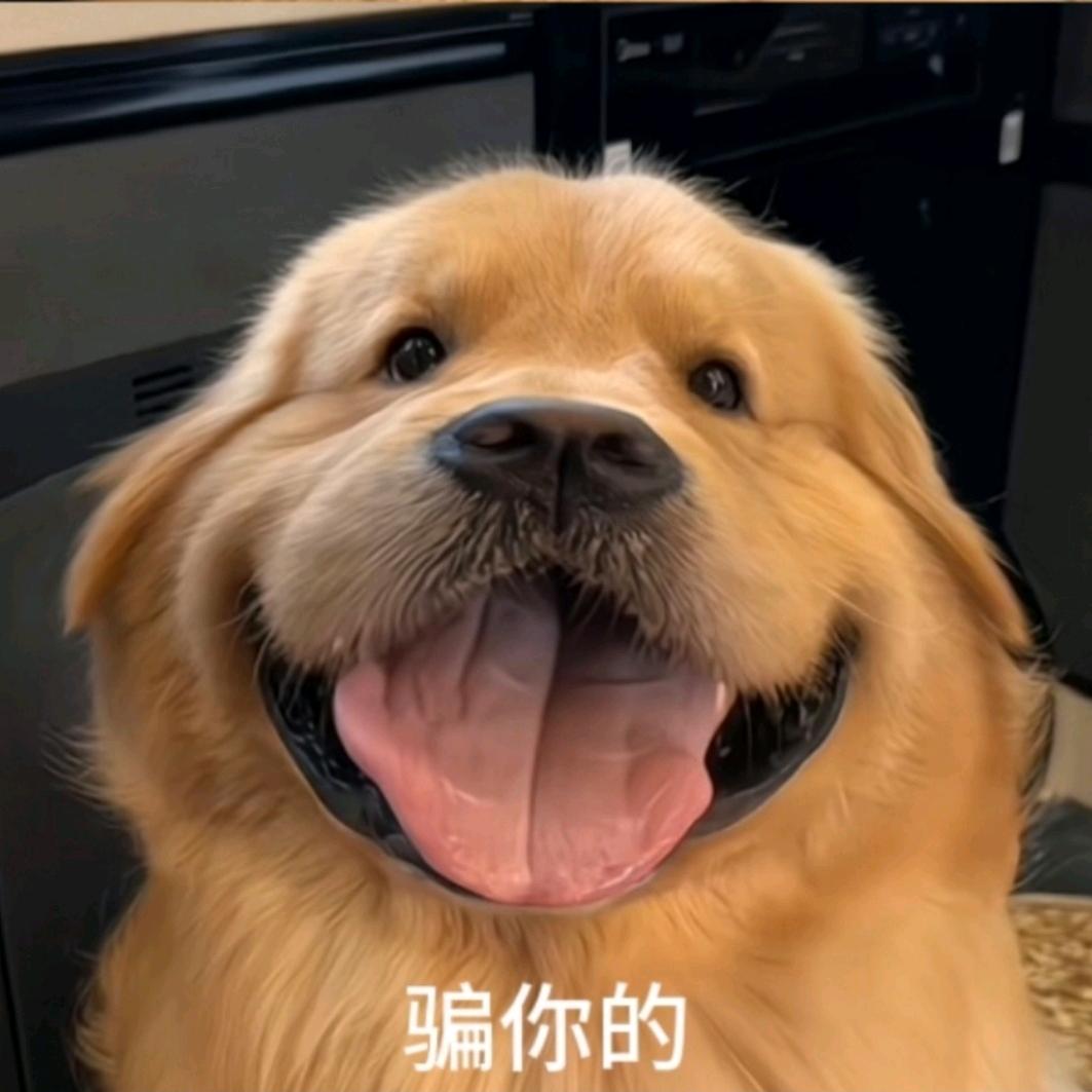 刷刷